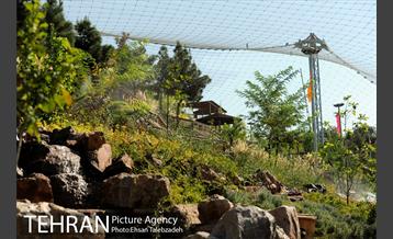 بازدید اصحاب رسانه از فاز ۲ باغ پرندگان 19