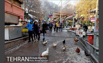 دربند، قطب شمال گردشگری تهران 4