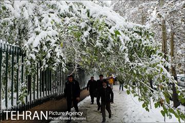 بارش اولین برف پاییزی در تهران 7