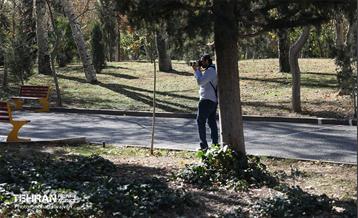 تور عکاسی بوستان بعثت 17