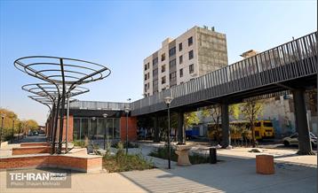 به وقت خدمت؛ باغ‌راه حضرت زهرا(س) محدوده آیت الله سعیدی 37