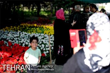 پیاده راه لاله مادران 8