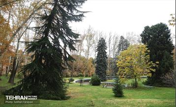 طبیعت پاییزی مجموعه فرهنگی تاریخی سعدآباد  2