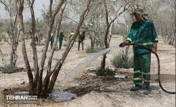 اینجا کارگاهه؛ پروژه بام ری 57