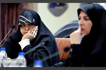 نشست خبری بین‌المللی آنلاین بررسی تاثیر حمله آمریکایی-صیهونیستی بر زنان، کودکان و خانواده‌های ایران 10