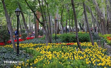 تور عکاسی از باغ ایرانی 22