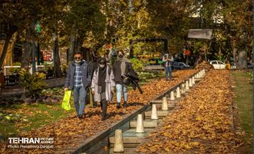 پاییز باغ فردوس / حمید رضا درجاتی