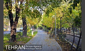 طبیعت پاییزی بلوار کشاورز 20