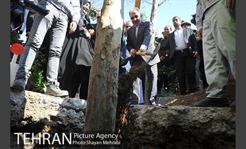 احیای درختان خیابان  ولیعصر( عج) با حضور شهردار تهران  27