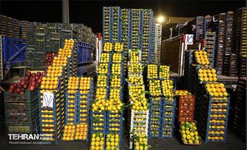 تره‌بار یلدایی 91