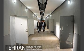 بازدید شهردار بلگراد از باغ موزه قصر 36