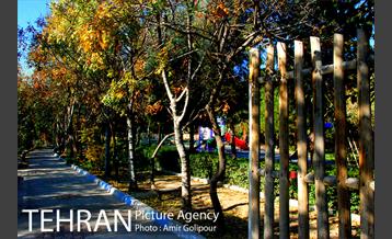 شهرک صدرا 23