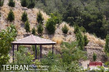 بوستان جنگلی یاس فاطمی 10