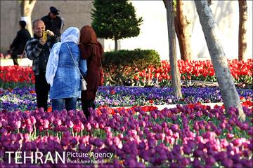 جشنواره لاله‌ها در بوستان زندگی محله هرندی 30