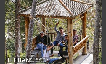 بوستان طالقانی 8