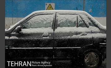 بارش نخستین برف پاییزی تهران 36