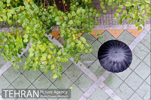 بارش باران پاییزی در تهران 23