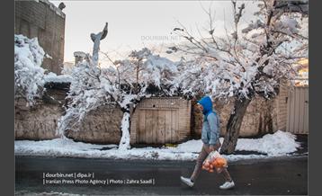 محله ده ونک در روزهای برفی تهران 11