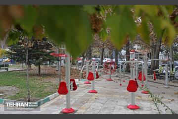 بازدید خبرنگاران از پروژه‌ های شاخص مناسب‌ سازی شهرداری در مناطق ۲ و ۵ تهران 16