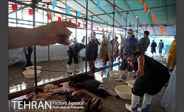 مرکز عرضه دام بهداشتی به مناسبت عید قربان در منطقه 14