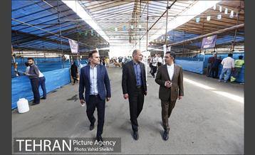 بازدید سعید راد از مراکز عرضه دام  5