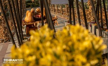 گذرگاه های پاییزی پایتخت - پارک ملت  18