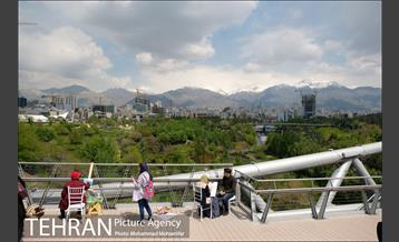 اولین جشنواره شهروند نقاش 15