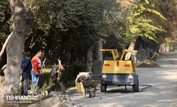 اینجا کارگاهه؛ منطقه پانزده 19