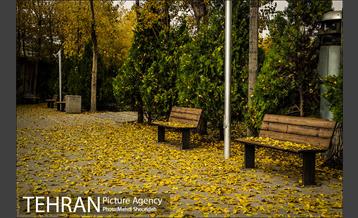 باغ موزه قصر 10