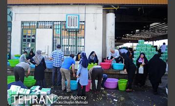 بازار میوه تربار مرکزی 4