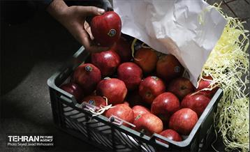 بازدید از سردخانه 9