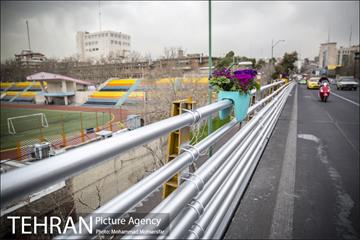 استقبال از بهار در خیابانهای تهران 12