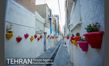 کوچه امیدی رنگ نوروز گرفت 8