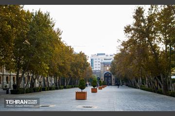 پاییز میدان مشق 30