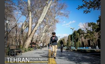 پارک شهر بعد از یک صبح بارانی 4