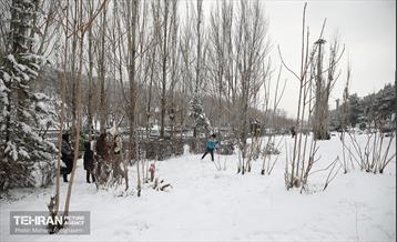 روز برفی تهران - 2 8
