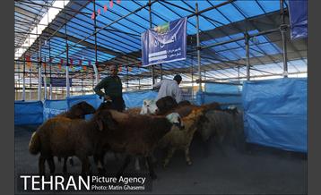 بازدید اصحاب رسانه از مراکز عرضه بهداشتی دام  8