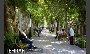 شهرنگار؛ پارک اندیشه 11