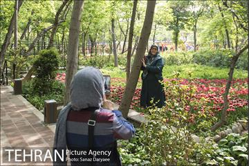 بوستان باغ ایرانی 14