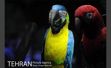 ژوراسیک پارک تهران 36