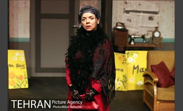 نمایش اثر پرتوهای گاما بر گل های همیشه بهار 21