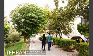 هوای بهاری تهران 24