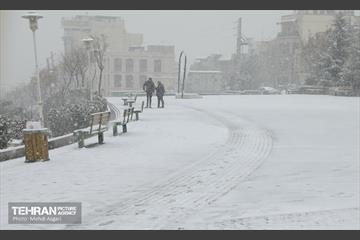 بارش برف زمستانی در منطقه ۲ 6