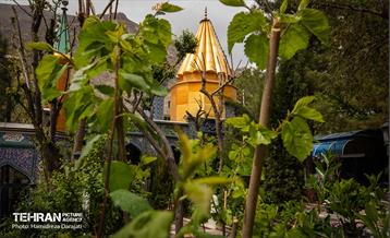 زیارت گردی؛ امامزاده سید محمد نوربخش (ع) 20