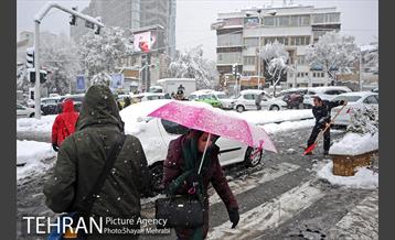 بارش برف در تجریش 2