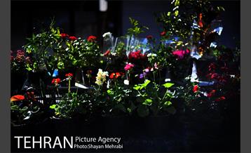 بازارچه نوروزی بساط گستران منطقه 12 18