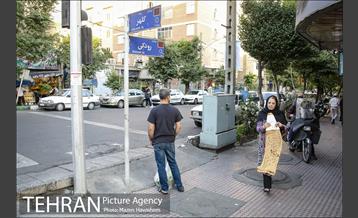 شهرنگار؛ سلسبیل 14