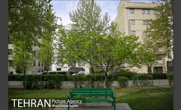 روز طبیعت در بوستان هاى منطقه ٥