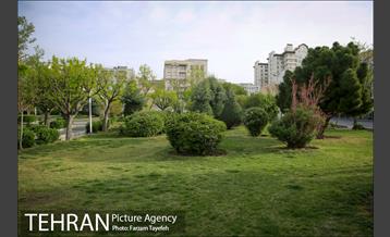 روز طبیعت در بوستان هاى منطقه ٥