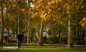 سمفونی رنگ های پاییزی - پارک لاله 40